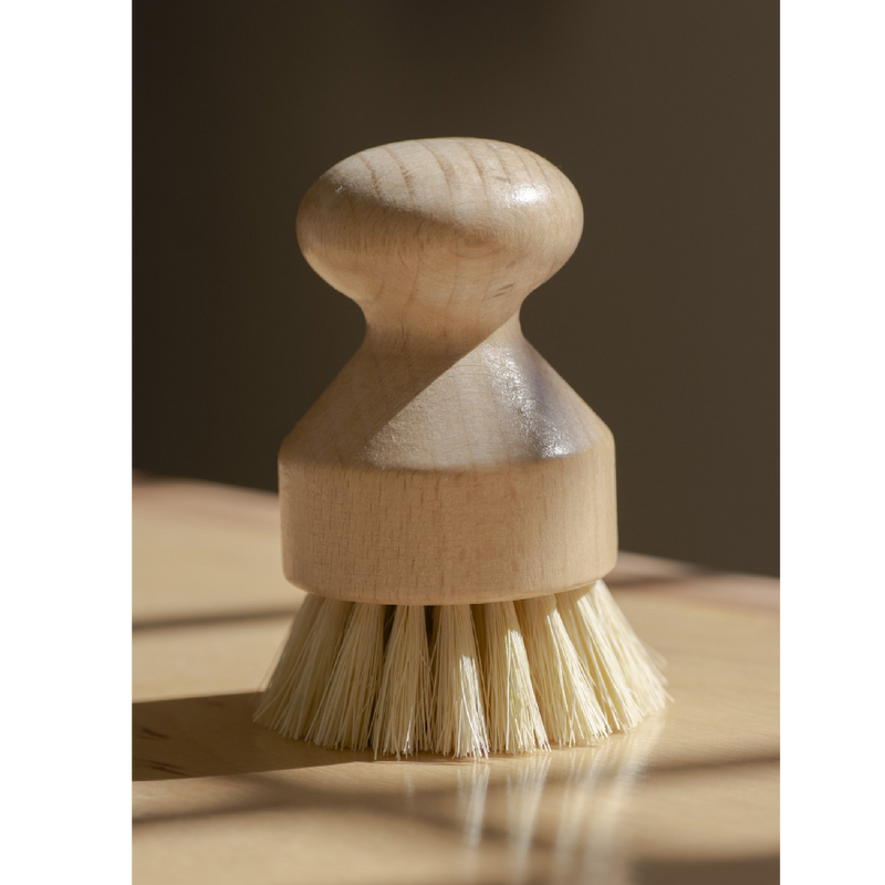biodegradable dish and vegetable hand held brush standing upright on counter top