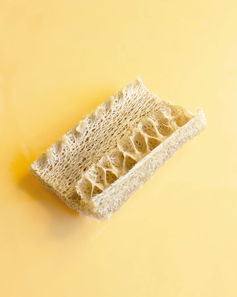 biodegradable loofah dish sponge against yellow background