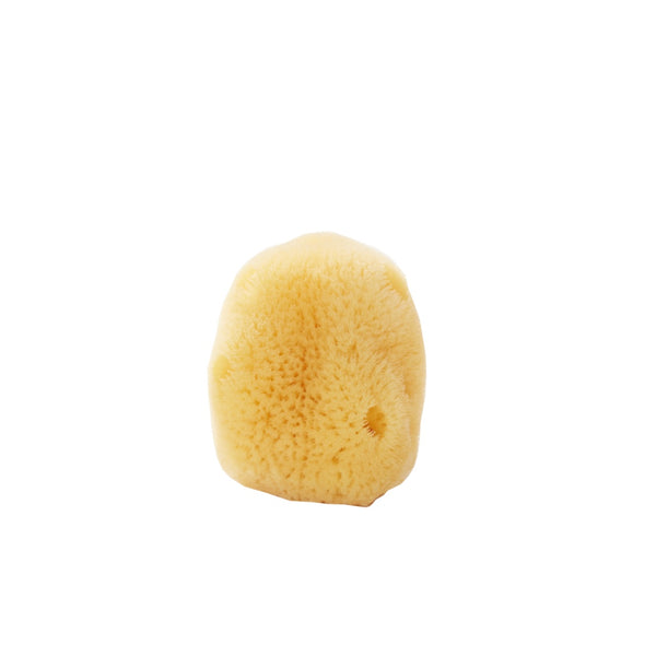 natural silk sea sponge for face 1-2 inches